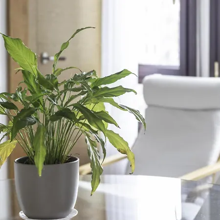 Appartement Politxe By Kabia Gestion Bermeo